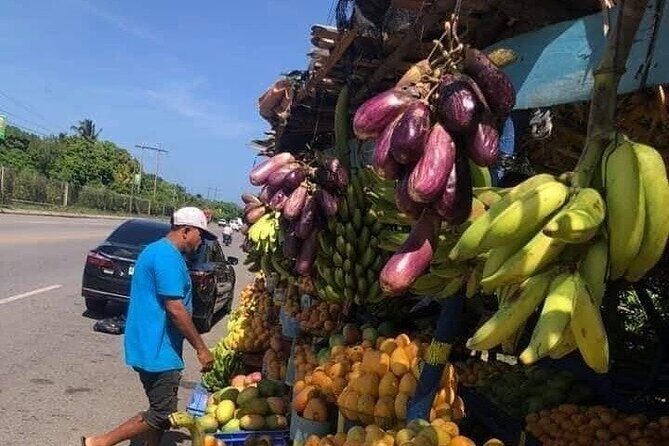 City and Country Puerto Plata History and Beach - What’s Included and What’s Not