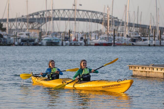 City Scenes Kayak Tour in Auckland - Explore the Waterfront - Discover Auckland’s Waterfront from a Different Angle