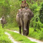 City Tour: Discover Aluthgama with Thrilling Adventures - Who Will Enjoy This Tour?