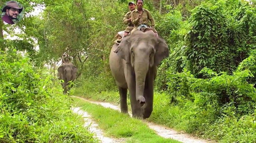 City Tour: Discover Aluthgama with Thrilling Adventures - Who Will Enjoy This Tour?