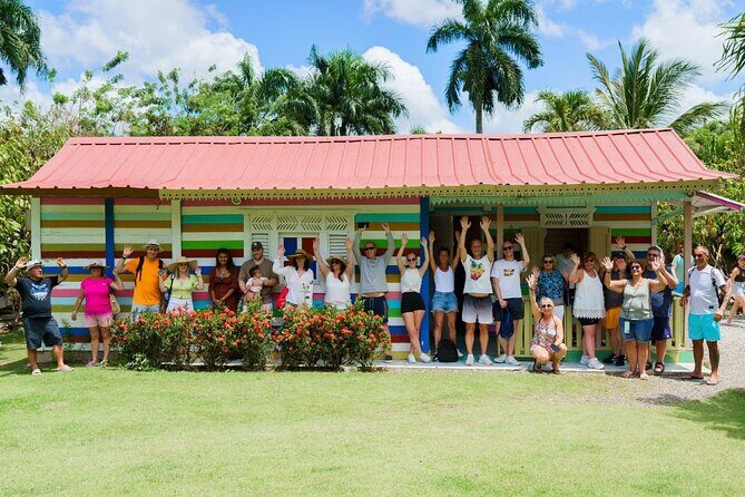 City Tour & Half-Day Safari Experiences - The Itinerary in Detail: What to Expect from Start to Finish