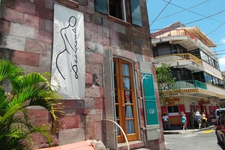 City Tour w/ Gardens, Volcano, Trafalgar Falls, Morne Bruce - A Deep Dive into the Tour Experience