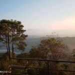 Cityscape Safari: Five Days of Discovery - Transportation and Group Dynamics