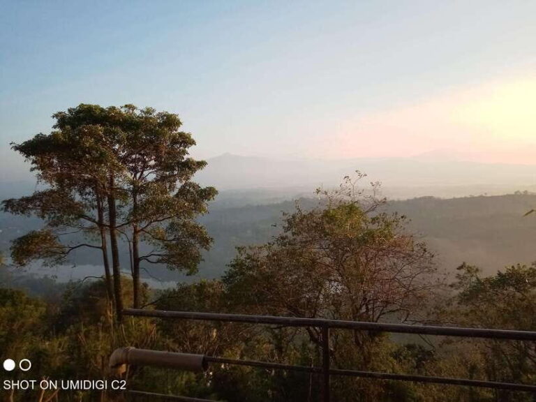 Cityscape Safari: Five Days of Discovery - Transportation and Group Dynamics