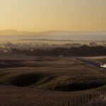 Clare Valley to Red Banks History and Landscape Day Tour - An In-Depth Look at the Itinerary