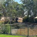 Clare Valley Uncorked: Full-Day Wine Adventure - The Itinerary: A Closer Look
