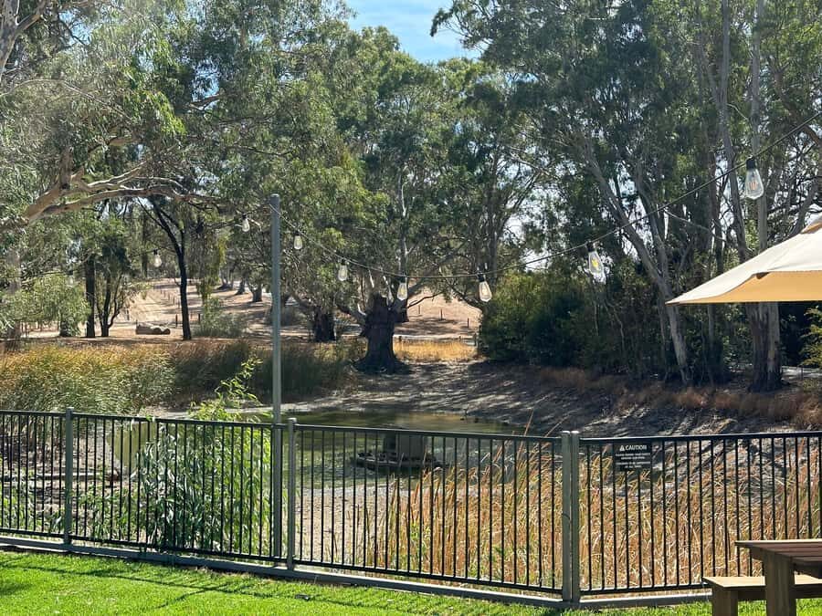 Clare Valley Uncorked: Full-Day Wine Adventure - The Itinerary: A Closer Look