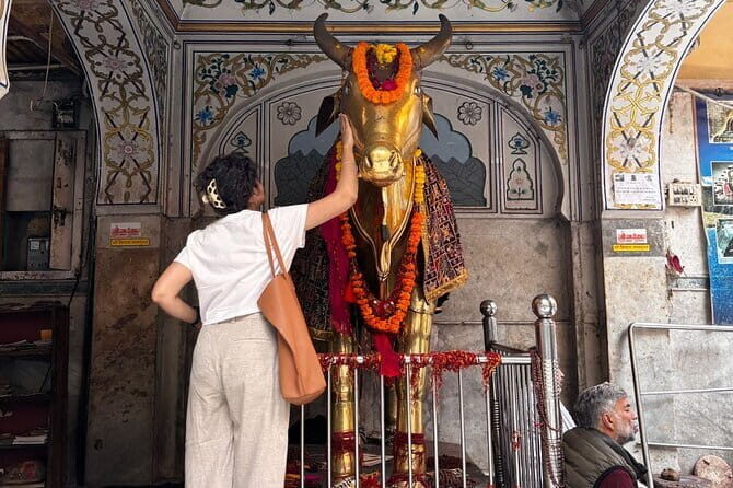 Classic Jaipur 101 Sightseeing, Food and E-Bike Tour - Final thoughts