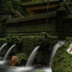 Cleansing and Healing Spiritual tour at Mengening Temple - Why This Tour Might Appeal to You