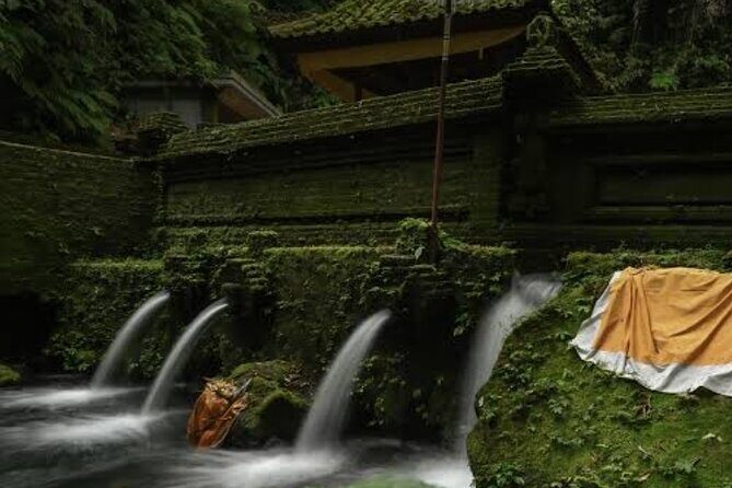 Cleansing and Healing Spiritual tour at Mengening Temple - Why This Tour Might Appeal to You