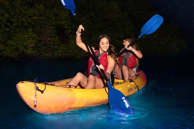 CLEAR BOTTOM KAYAKS Tour in Bioluminescent, Mosquito Bay - Why This Tour Offers Great Value