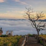 Cloud Hunting and The Glow of Dawn Tour in Da Lat - Who is this tour best for?