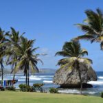 Coach charter in Barbados for 3 to 4 hours for up to 20 persons - What Travelers Have Experienced