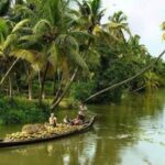 Cochin : Alleppey/Alappuzha Backwater Canoe (Shikara) Cruise - The Itinerary: What to Expect