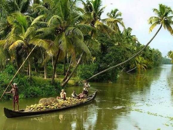 Cochin : Alleppey/Alappuzha Backwater Canoe (Shikara) Cruise - The Itinerary: What to Expect