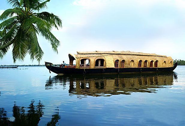 Cochin: Alleppey Backwater Private Day Cruise by Houseboat - What to Expect from Your Backwater Journey