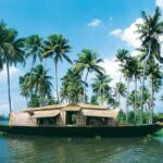 Cochin: Alleppey Backwater Private Day Tour with Houseboat - Practical Details and Value