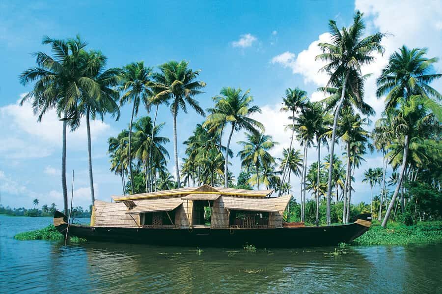 Cochin: Alleppey Backwater Private Day Tour with Houseboat - Practical Details and Value