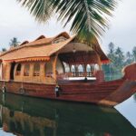 Cochin Backwaters Tour: Eco Boat Ride & Traditional Lunch - Exploring Kerala’s Backwaters: What You Can Expect