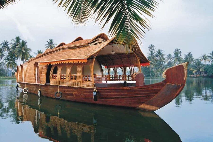 Cochin Backwaters Tour: Eco Boat Ride & Traditional Lunch - Exploring Kerala’s Backwaters: What You Can Expect