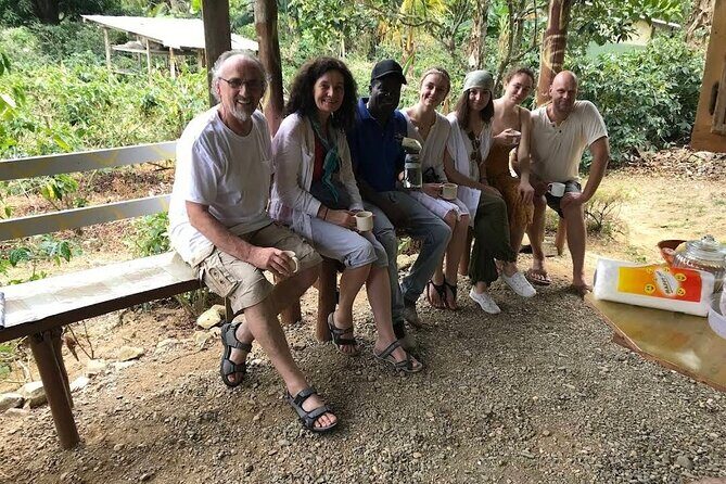 Coffee Farm Tour from Port Antonio - What We Love About This Tour