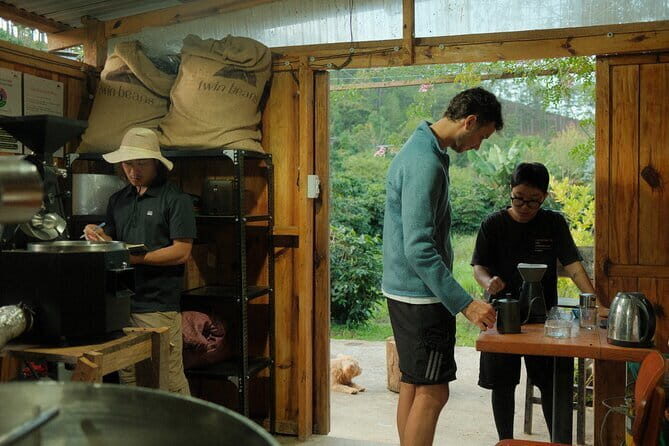 Coffee Farm Tour with Roasting & Tasting Workshop - Da Lat - An In-Depth Look at the Coffee Farm Tour Experience