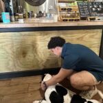 Coffee & Waterfalls Tour: from the mountains to the cup - Who Is This Tour For?