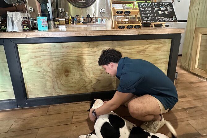 Coffee & Waterfalls Tour: from the mountains to the cup - Who Is This Tour For?