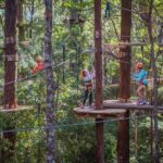 Coffs Harbour: Junior Tree Ropes Course - Who Is This Tour Perfect For?