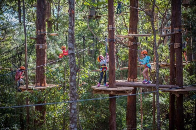 Coffs Harbour: Junior Tree Ropes Course - Who Is This Tour Perfect For?