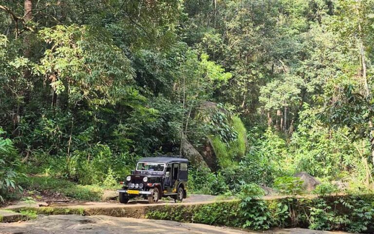 Coimbatore: Kerala Hills Day Trip with Jeep Safari & Lunch - Practical Details & What Travelers Should Know
