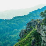 Coimbatore: Ooty Day Trip with Private Cab - The Sum Up