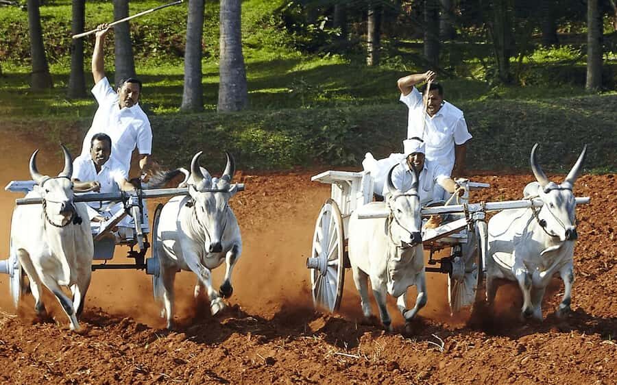 Coimbatore to Coconut Village Day Tour  Nature & Culture - Overview of the Experience