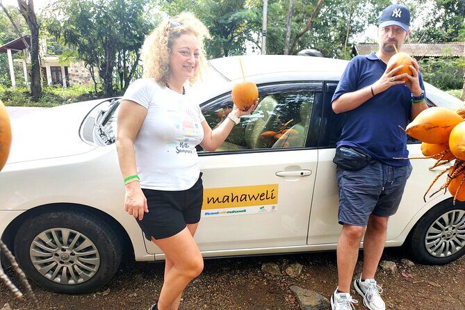 Colombo Airport to Sigiriya and Dambulla Shared Mini Van - Pricing and Value