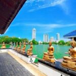 Colombo: All-Inclusive City Tour - Transportation and Logistics