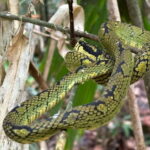 Colombo/Cmb/ Sinharaja Rainforest Day Trip with Lunch - Is It Worth the Price?