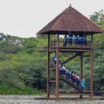 Colombo: Half-Day Cultural Tour to Sri Jayawardenapura Kotte - What to Expect from This Tour