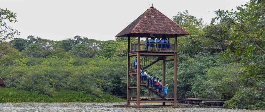 Colombo: Half-Day Cultural Tour to Sri Jayawardenapura Kotte - What to Expect from This Tour