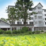 Colombo: Kandy Day Trip with Pinnawala Elephant Orphanage - What Makes This Tour Stand Out