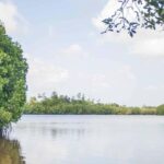 Colombo/Negombo: Koggala Lake Boat Safari and Kayaking Tour - Practical Considerations and Value