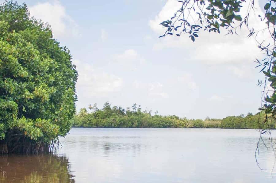 Colombo/Negombo: Koggala Lake Boat Safari and Kayaking Tour - Practical Considerations and Value