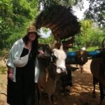 Colombo , Negombo to Trincomalee Transfer and Safari - The Sum Up: Who Should Consider This Tour?