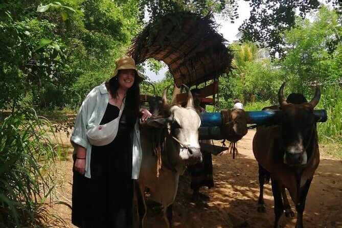 Colombo , Negombo to Trincomalee Transfer and Safari - The Sum Up: Who Should Consider This Tour?  