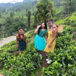 Colombo: Nuwara Eliya: Tea Gardens,Colonial Charm & High Tea - Nuwara Eliya: The Charm of the Hill Station
