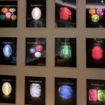 Colombo: Shore Excursion Gem Shopping Tour - Transportation & Group Size