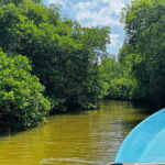 Colombo to Galle All Inclusive Private Day Tour - Who Should Book This Tour?