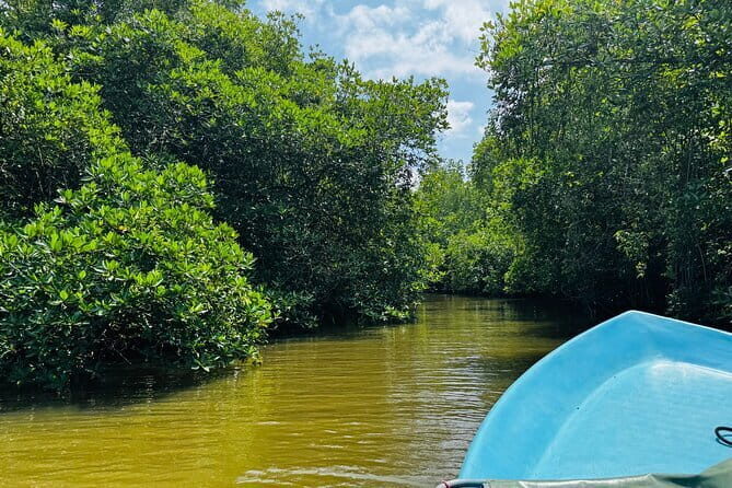 Colombo to Galle All Inclusive Private Day Tour - Who Should Book This Tour?  