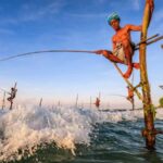 Colombo to Galle Day Tour with Tea Factory & Cinnamon Island - Spice & Herbal Garden Visit