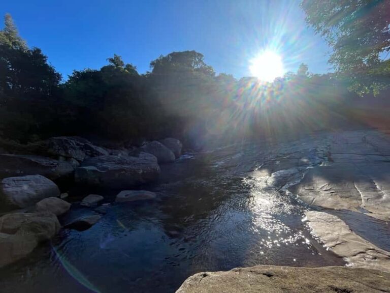 Colombo To Maskeliya & Waterfalls Day Trip - Practical Aspects & Tips