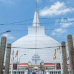 Colombo:Anuradhapura & Wilpattu Safari All Inclusive Tour - A Full Breakdown of the Tour